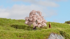 NOCH 20147 - Kirschbaum, 6 cm